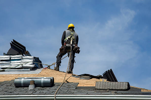 Professional Storm Damage Roof Repair technician working in Joliet, IL